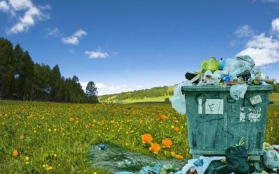 Spring cleaning, to tidy up your home